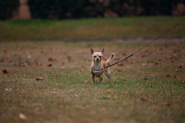 How to dress for success: top tips to stand out in a competitive job market